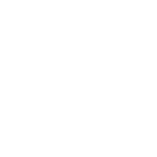 morethansmartwheels