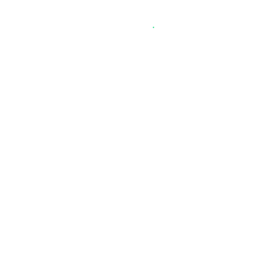 pacenotes